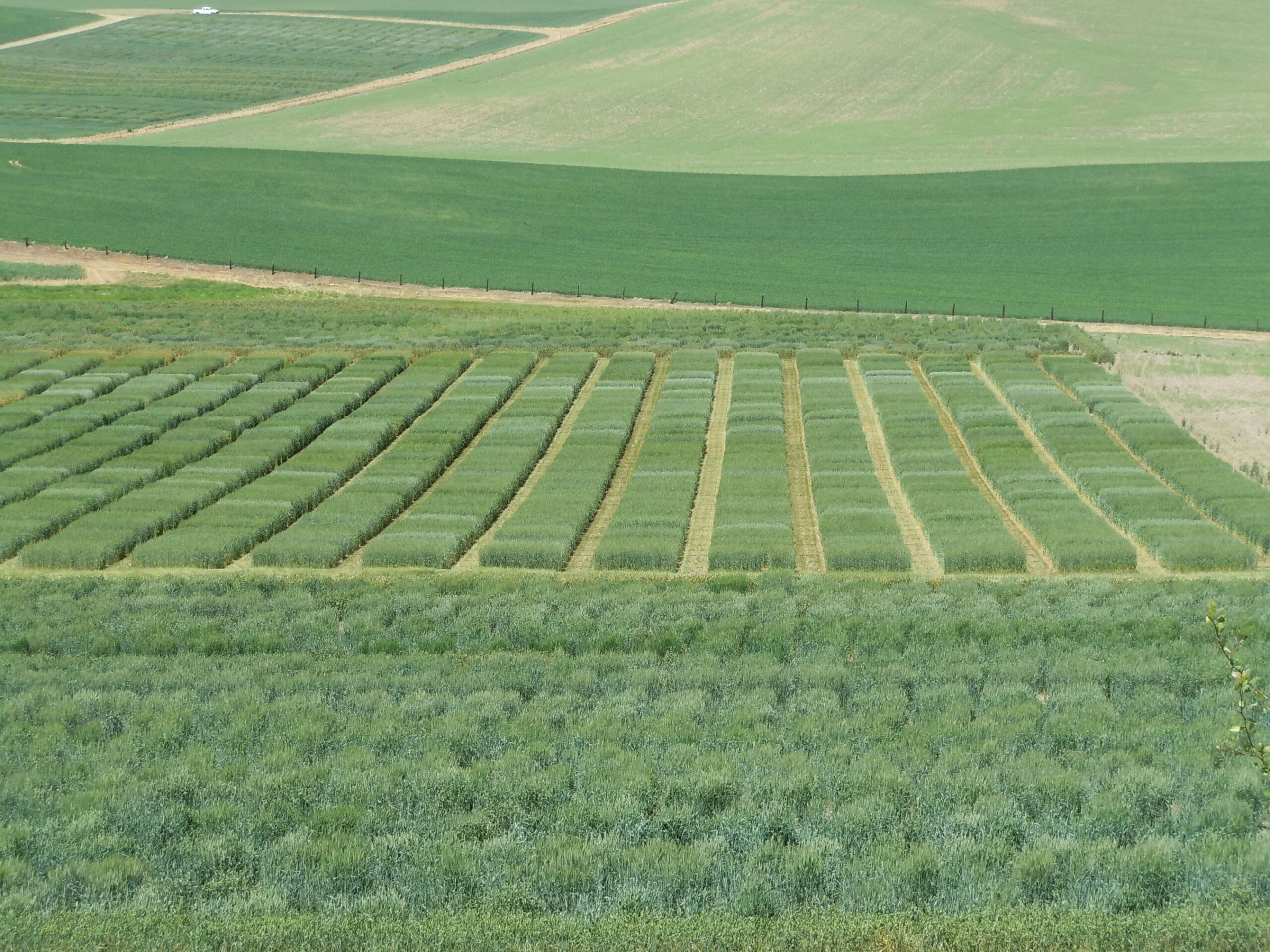 Agronomic Dashboard
