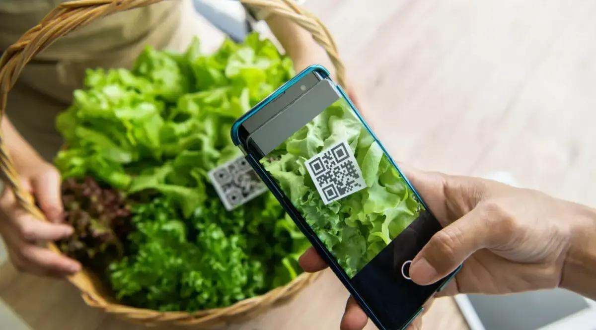 Varieties Passport / Digital Card / QR Code